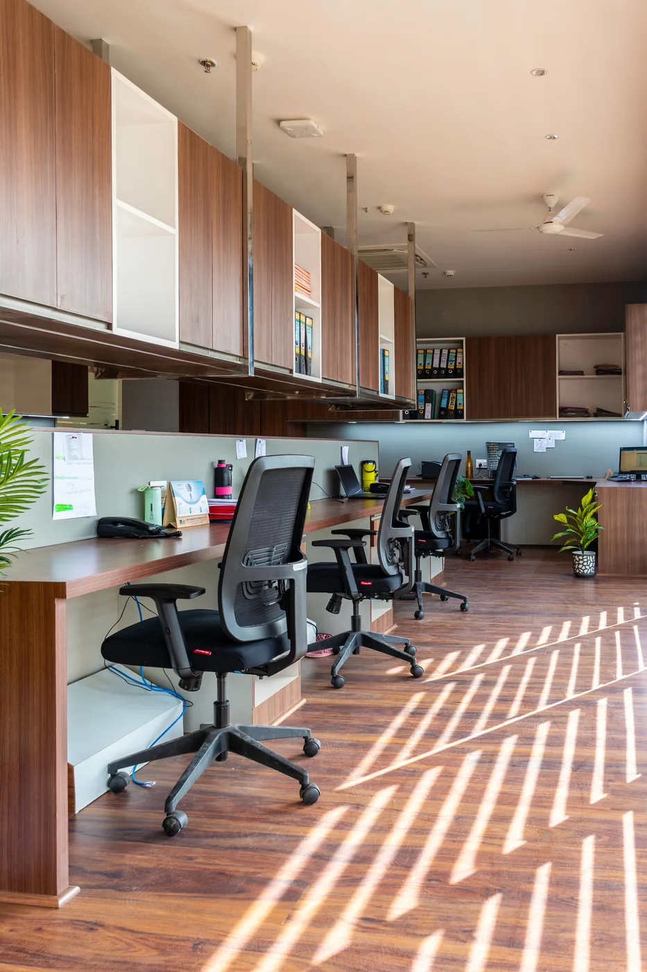 Rows of workstations in an office